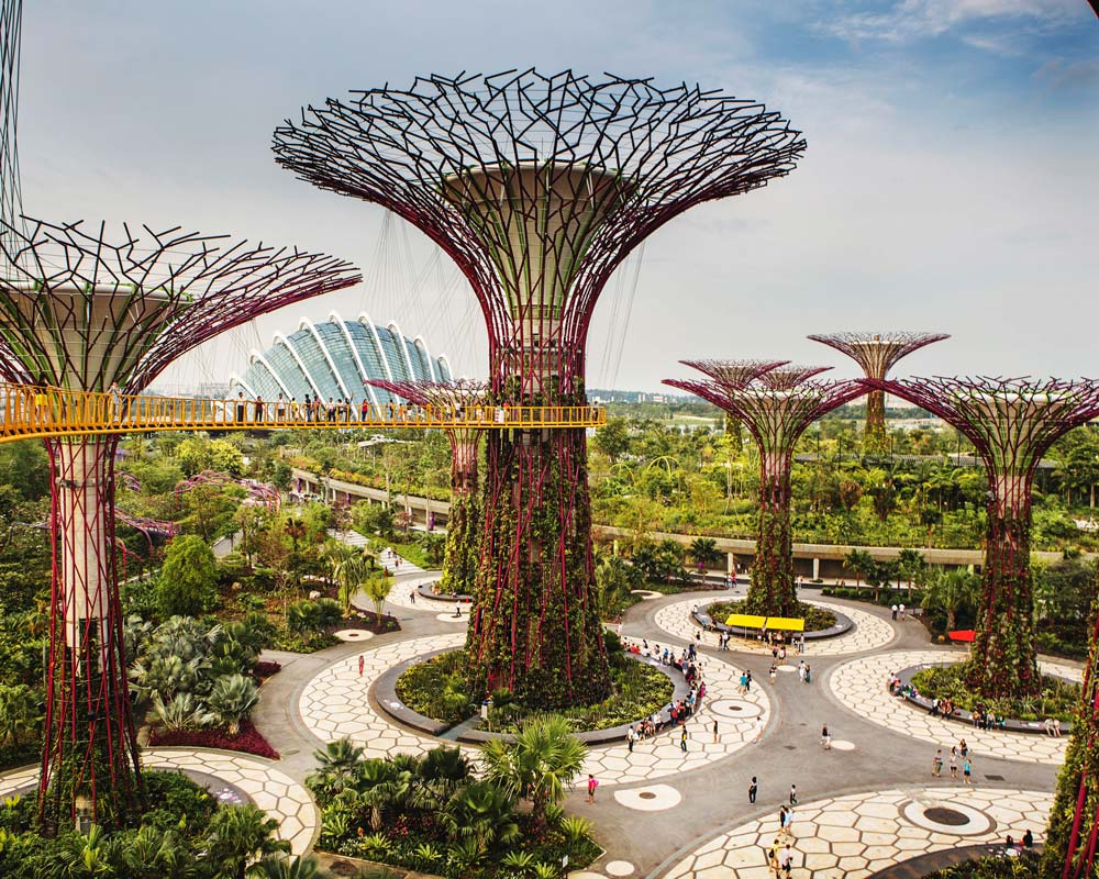 effets plantes stress