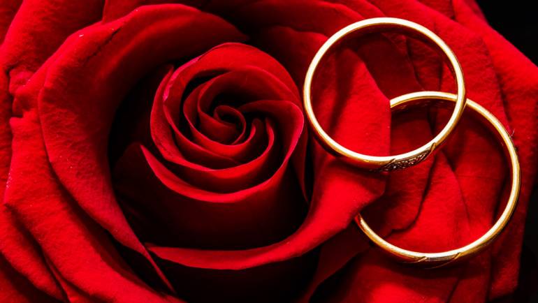 Rose éternelle sous cloche, LE cadeau parfait pour symboliser votre amour