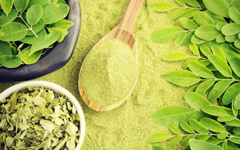 moringa