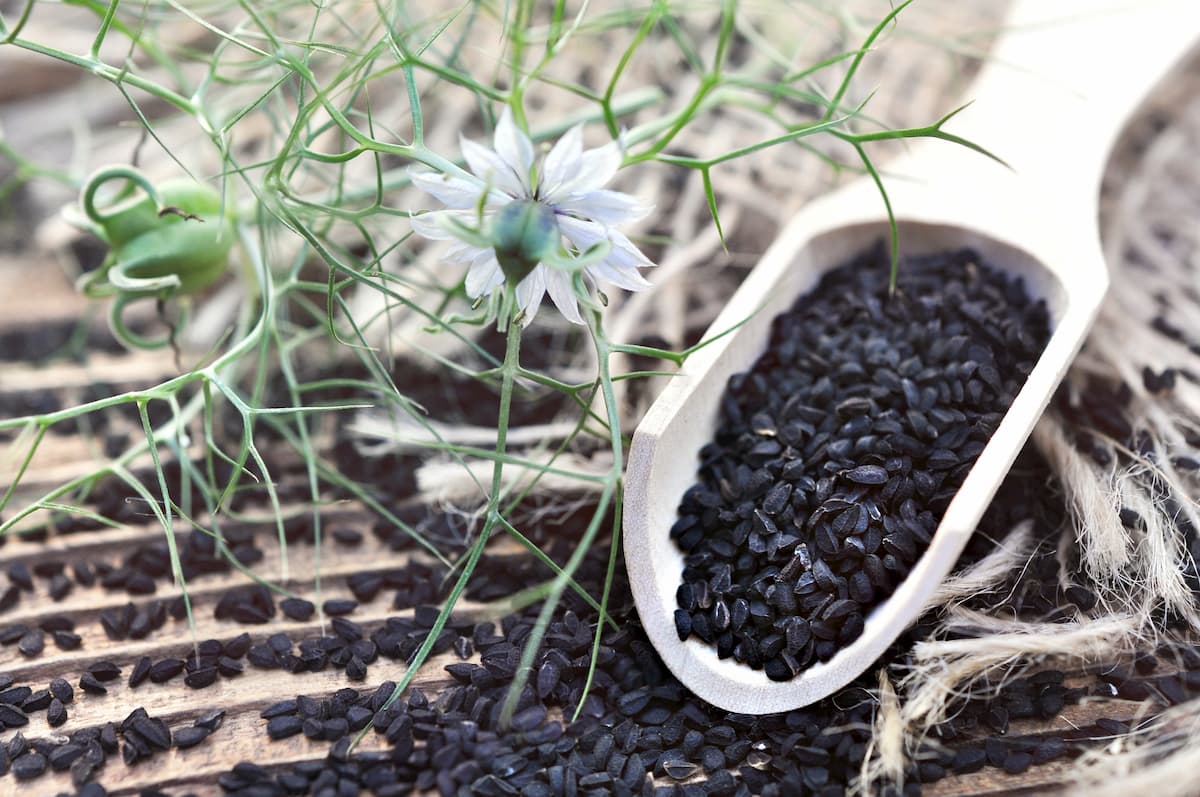 huile de cumin noire