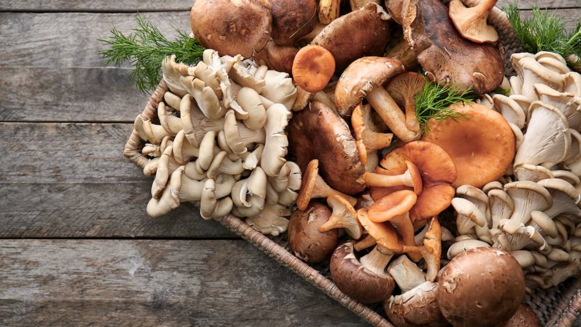 5 champignons bons pour la santé à consommer dès maintenant ! 