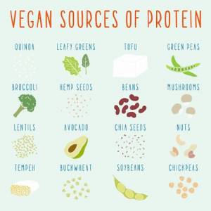 meilleure protéine végétale en poudre