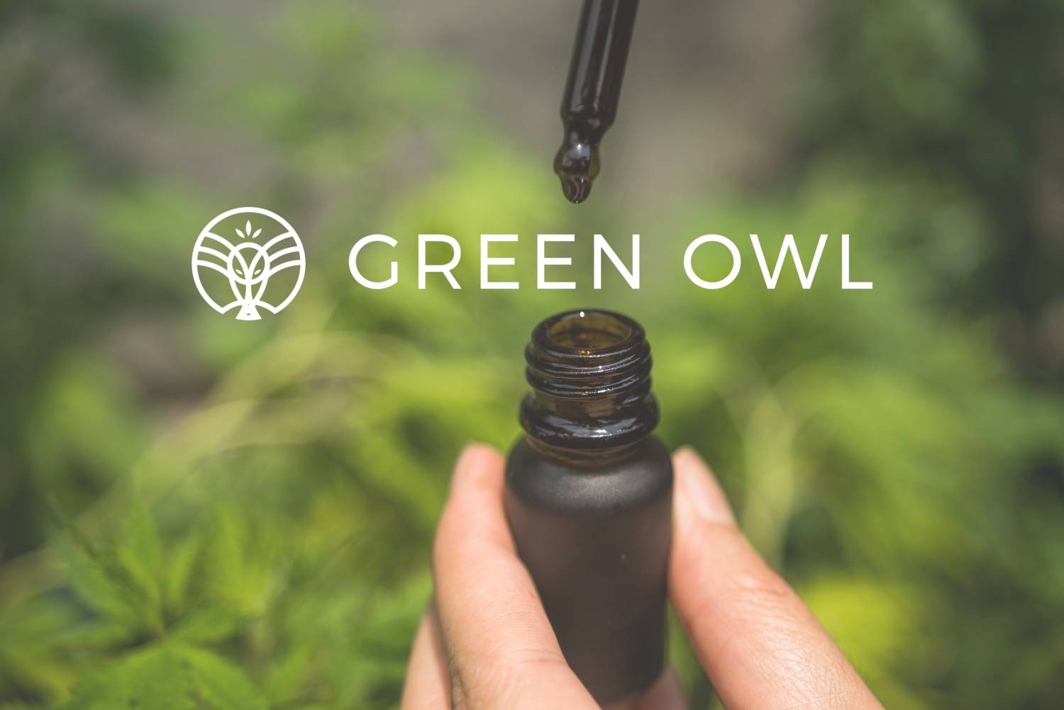 greenowl avis