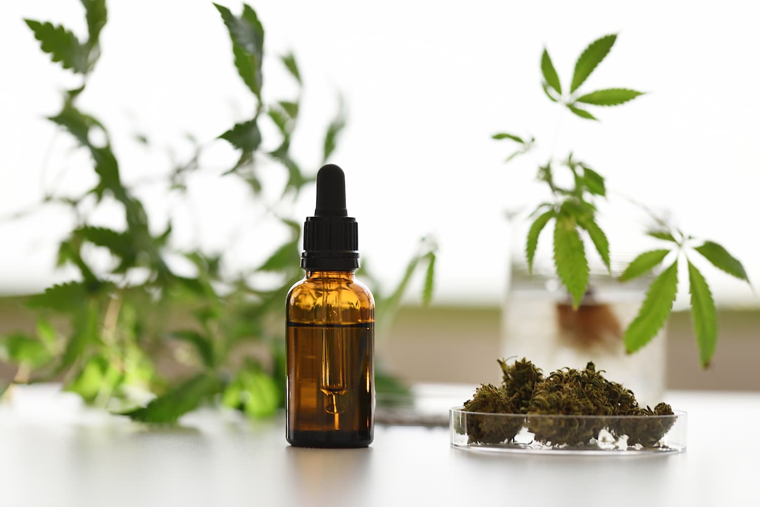 consommer le cbd