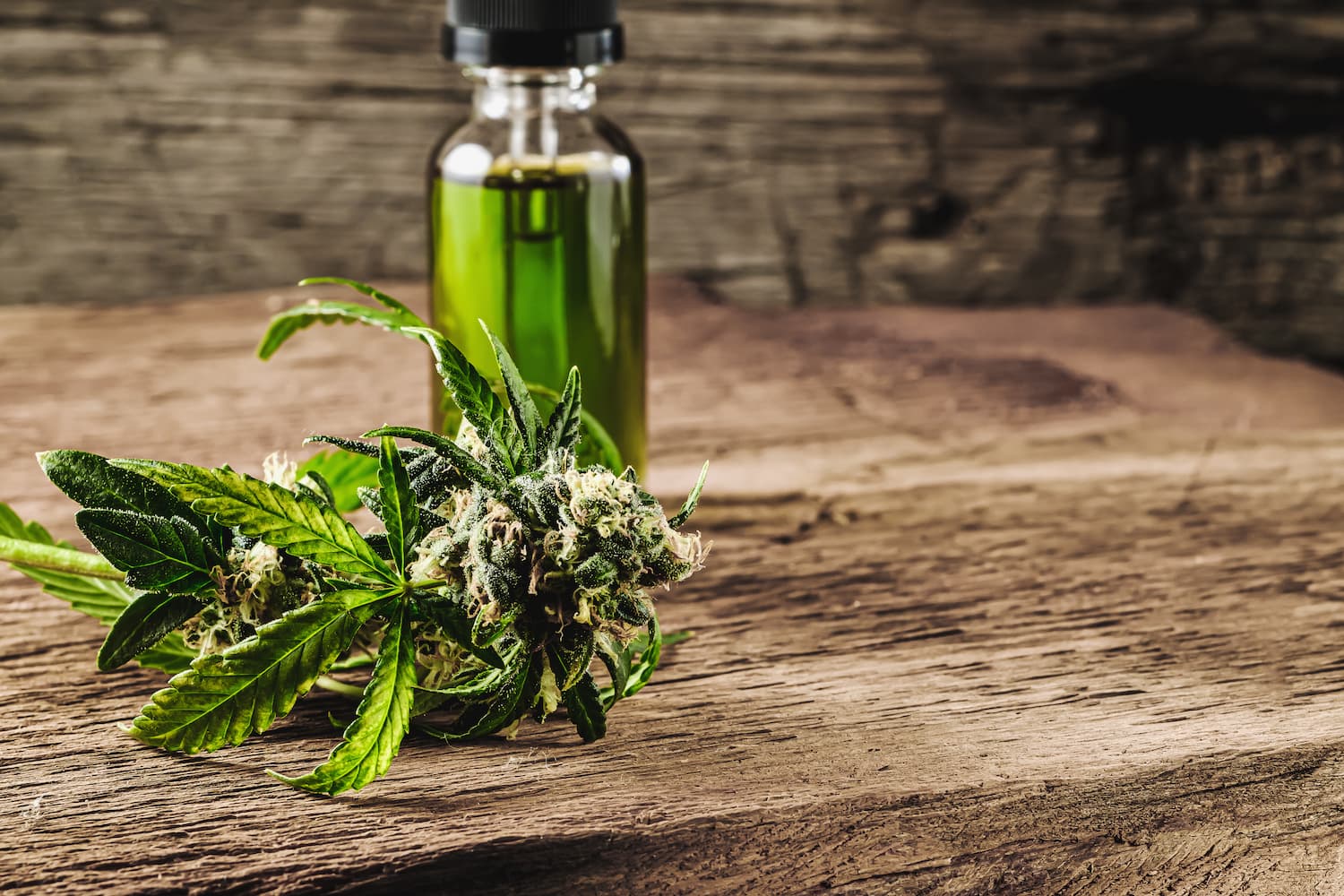 cbd dundees avis